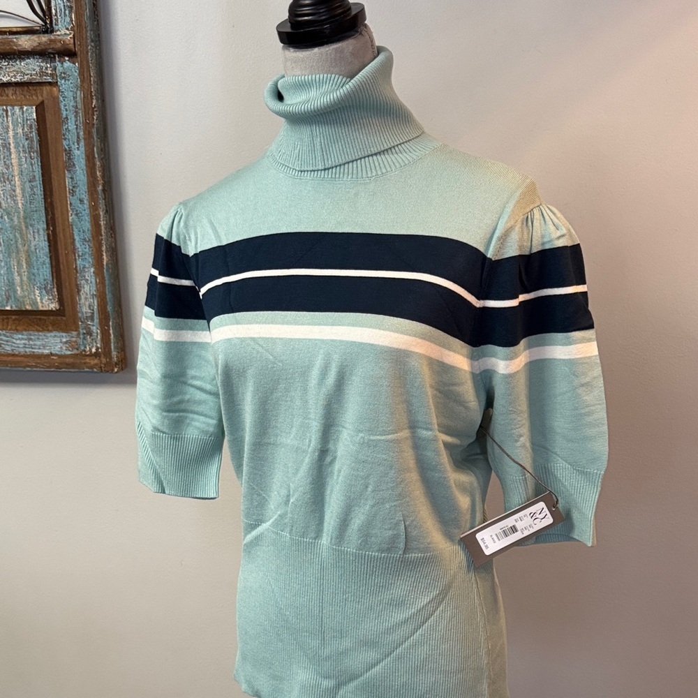 New York & Company Mint and Navy Striped Turtleneck - Picture 2 of 11